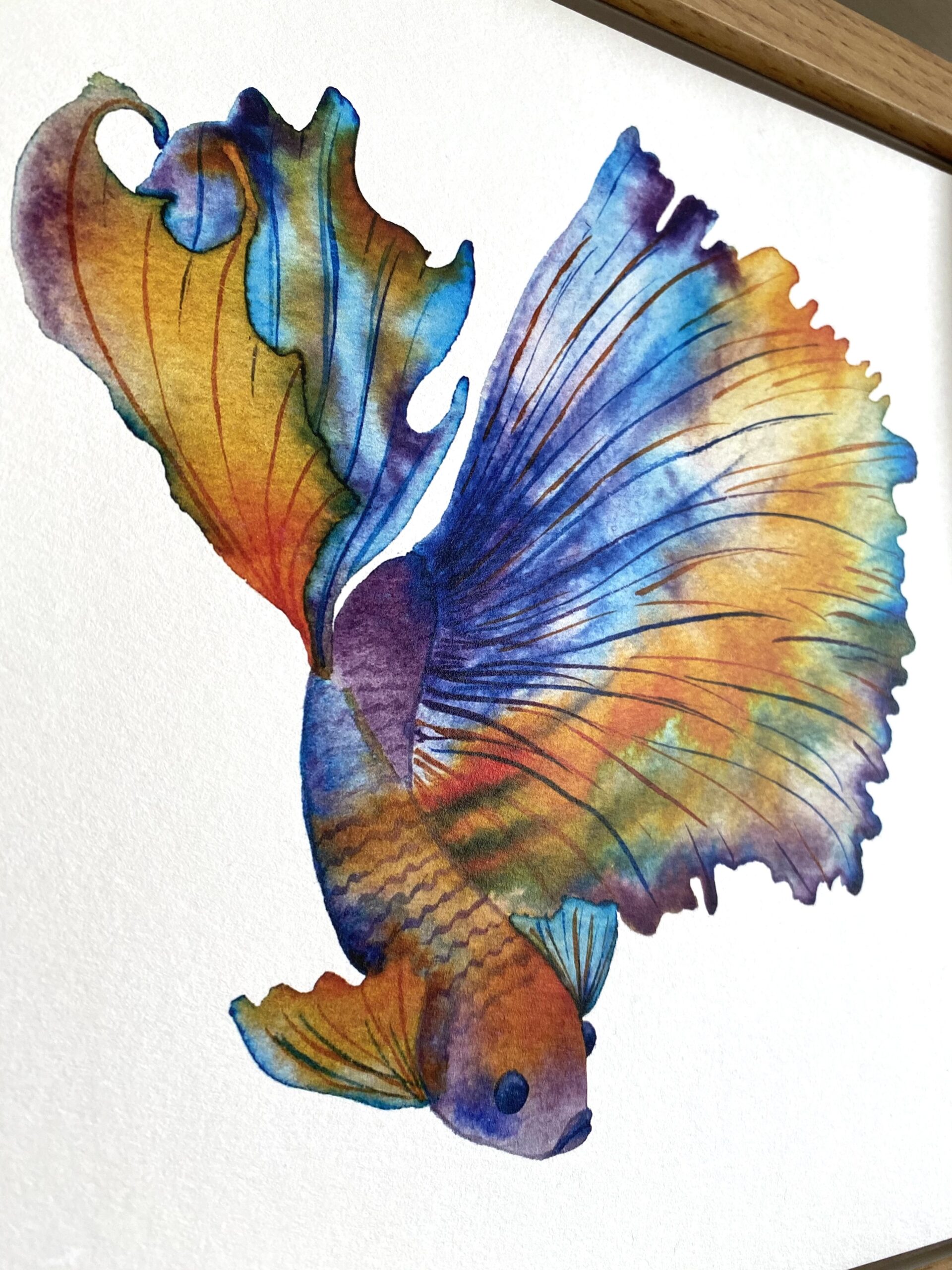 Siamese Fish Eco Friendly Art Print
