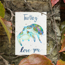 Plantable Turtle Valentines Card