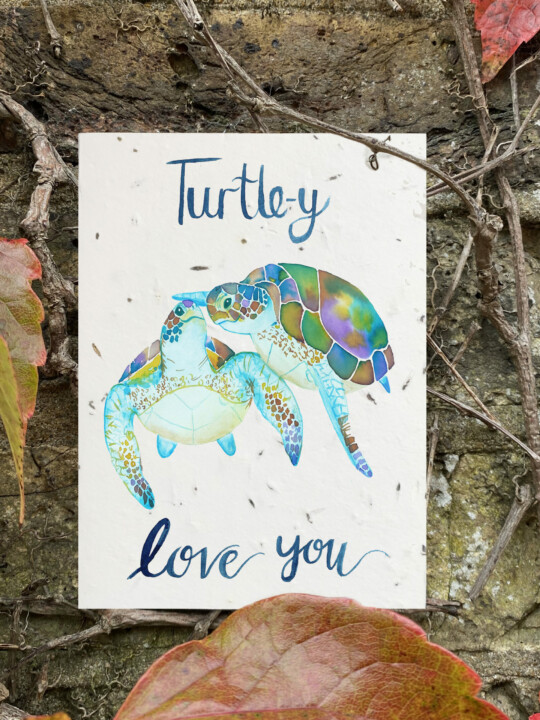 Plantable Turtle Valentines Card